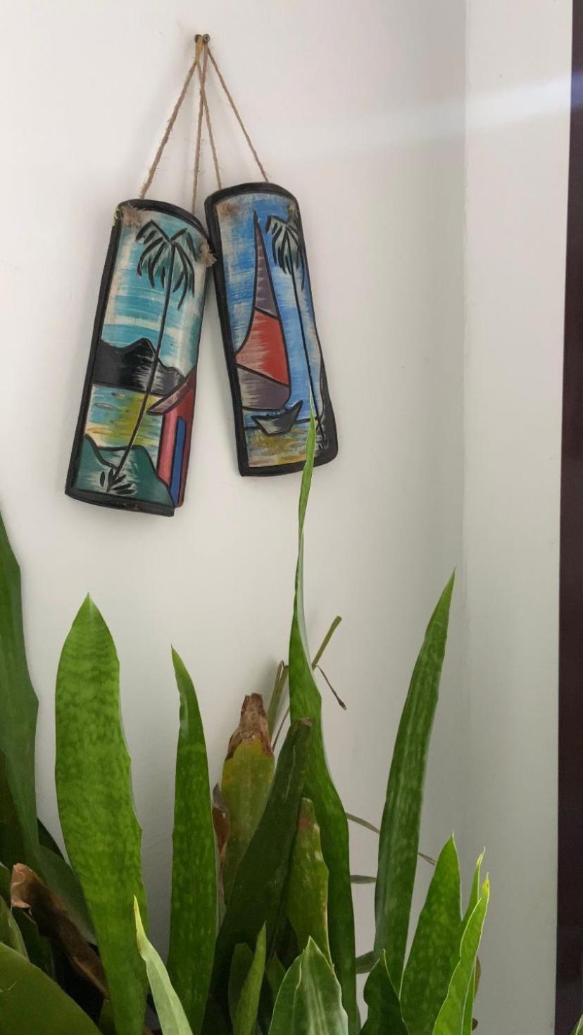 Pousada Hospedagem Caribe อาร์ไฮยัล โด กาโบ ภายนอก รูปภาพ
